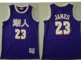 Wholesale Cheap Men's Los Angeles Lakers #23 Lebron James Purple Chinese Hardwood Classics Soul Swingman Throwback Jersey