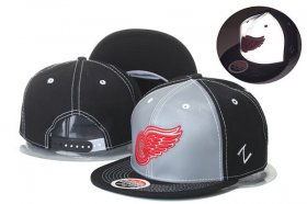 Wholesale Cheap NHL Detroit Red Wings hats 1
