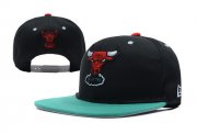 Wholesale Cheap NBA Chicago Bulls Snapback Ajustable Cap Hat YD 03-13_44