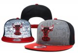 Wholesale Cheap NBA Chicago Bulls Snapback Ajustable Cap Hat YD 03-13_06