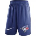 Wholesale Cheap Men's Toronto Blue Jays Nike Royal Dry Fly Shorts
