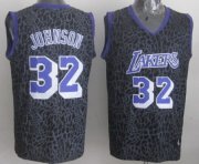 Wholesale Cheap Los Angeles Lakers #32 Magic Johnson Black Leopard Print Fashion Jersey