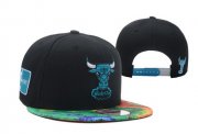 Wholesale Cheap NBA Chicago Bulls Snapback Ajustable Cap Hat DF 03-13_67