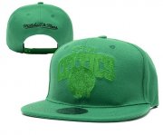 Wholesale Cheap Boston Celtics Snapbacks YD011