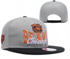 Wholesale Cheap Chicago Bears Snapbacks YD014