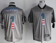 Wholesale Cheap Nike Panthers #1 Cam Newton Grey Men's Stitched NFL Elite USA Flag Fashion Jersey