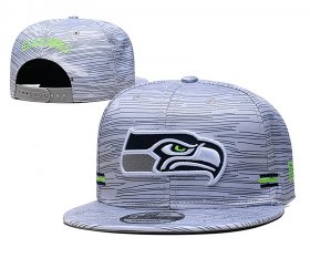 Wholesale Cheap 2021 NFL Seattle Seahawks Hat TX604